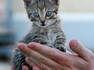 Symbolbild Symbolbild