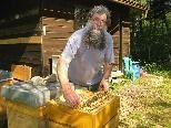 Der Hobby-Imker Wolfram Hager mit einem seiner sieben Bienenvölker in den Dornbirner Achauen.