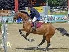 Das erste Wochenende der "44. Pferdesporttage Montafon Schruns-Tschagguns" geht am 8. August zu Ende. Weiter geht´s am 13. August.