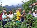 Sommerschnitt im Beeren- und Obstgarten Sommerschnitt im Beeren- und Obstgarten