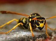 Symbolbild Symbolbild