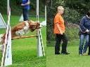 Der Club bietet Training für den Hundesport Agility und Gehorsamsausbildung.