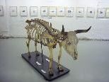 Die aktuelle Ausstellung in der Nenzinger Artenne. Die aktuelle Ausstellung in der Nenzinger Artenne.