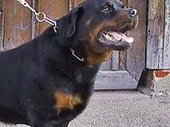 Symbolbild Symbolbild