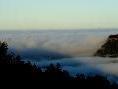 Blick ins Rheintal: Der Nebel als häufiger Begleiter im Herbst