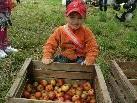 Gerne helfen die Kinder bei der Apfelernte für den Kindergarten - Süßmost