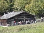 Das Holdamoos ist Schauplatz eines stimmungsvollen 1. Adventsonntags. Das Holdamoos ist Schauplatz eines stimmungsvollen 1. Adventsonntags.