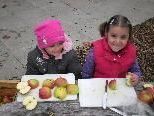 Der Obst- und Gartenbauverein lädt die Bludescher Kids morgen zum "Tag des Apfels" ein Der Obst- und Gartenbauverein lädt die Bludescher Kids morgen zum "Tag des Apfels" ein