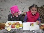 Der Obst- und Gartenbauverein lädt die Bludescher Kids morgen zum "Tag des Apfels" ein