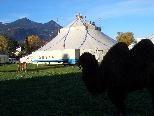 Der bekannte Schweizer Circus  "Royal" gastiert derzeit in Bludenz.