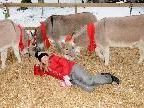 Eine völlig neue Krippen-Darstellung beim Weihnachtsmarkt in Gaißau. Eine völlig neue Krippen-Darstellung beim Weihnachtsmarkt in Gaißau.