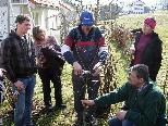 Baumwärter Klaus Heregger demonstriert den richtigen Baumschnitt