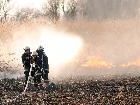 Die Fußacher Feuerwehr hatte den Schilfbrand rasch unter Kontrolle. Die Fußacher Feuerwehr hatte den Schilfbrand rasch unter Kontrolle.