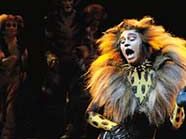 Nach rund 20 Jahren ist das Musical "Cats" zurück in Wien. Nach rund 20 Jahren ist das Musical "Cats" zurück in Wien.