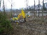 Uferabschnitte wurden ausgeholzt Uferabschnitte wurden ausgeholzt