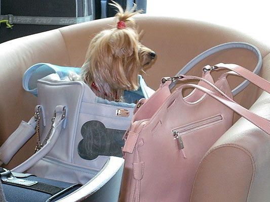 Lassen Sie Ihre Handtasche niemals unbeaufsichtig. Lassen Sie Ihre Handtasche niemals unbeaufsichtig.