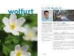 Neueste Ausageb der Wolfurt-Information.