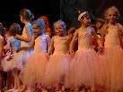 Aus den Unterrichtsstunden "Zeitgenössischer Kindertanz" & "Klassisches Ballett" zeigten die kleinen Ballerinas die "Dornröschenerzählung" (Choreografie: Claudia Sturn) und die "Bezaubernde Zuckerfee" (Alfredo Karl)