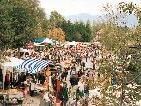Freigelände Flohmarkt in Altach Freigelände Flohmarkt in Altach