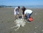 Strand-Reinigung der JVP Rheindelta