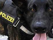 Ein Hund der Polizei brachte die Fahnder auf die heiße Spur. (Symbolbild) Ein Hund der Polizei brachte die Fahnder auf die heiße Spur. (Symbolbild)
