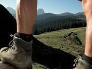Bei einer Wanderung auf der Rax versuchte ein 60-Jähriger seine Frau zu erschlagen. Bei einer Wanderung auf der Rax versuchte ein 60-Jähriger seine Frau zu erschlagen.