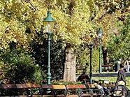 In 1120 Wien eröffnet Isabella Kresse ihre Aktion für Johanna Dohnal. In 1120 Wien eröffnet Isabella Kresse ihre Aktion für Johanna Dohnal.