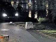 Tatort Donauinsel: Der Mord wurde wegen einer Nichtigkeit begangen. Tatort Donauinsel: Der Mord wurde wegen einer Nichtigkeit begangen.
