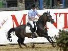 Die 45. Montafoner Pferdesporttage in Schruns-Tschagguns bieten ein interessantes Programm mit Spitzenpferden, hervorragenden Reitern u. v. m.