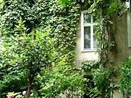 Für die Aktion "Naturnahe Grünoase" ist noch bis Ende August Zeit. Für die Aktion "Naturnahe Grünoase" ist noch bis Ende August Zeit.