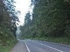 An dieser Stelle im Klauserwald entsteht das Steinschlagschutznetz. An dieser Stelle im Klauserwald entsteht das Steinschlagschutznetz.