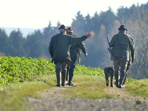 Jäger in Niederösterreich schwer verletzt
