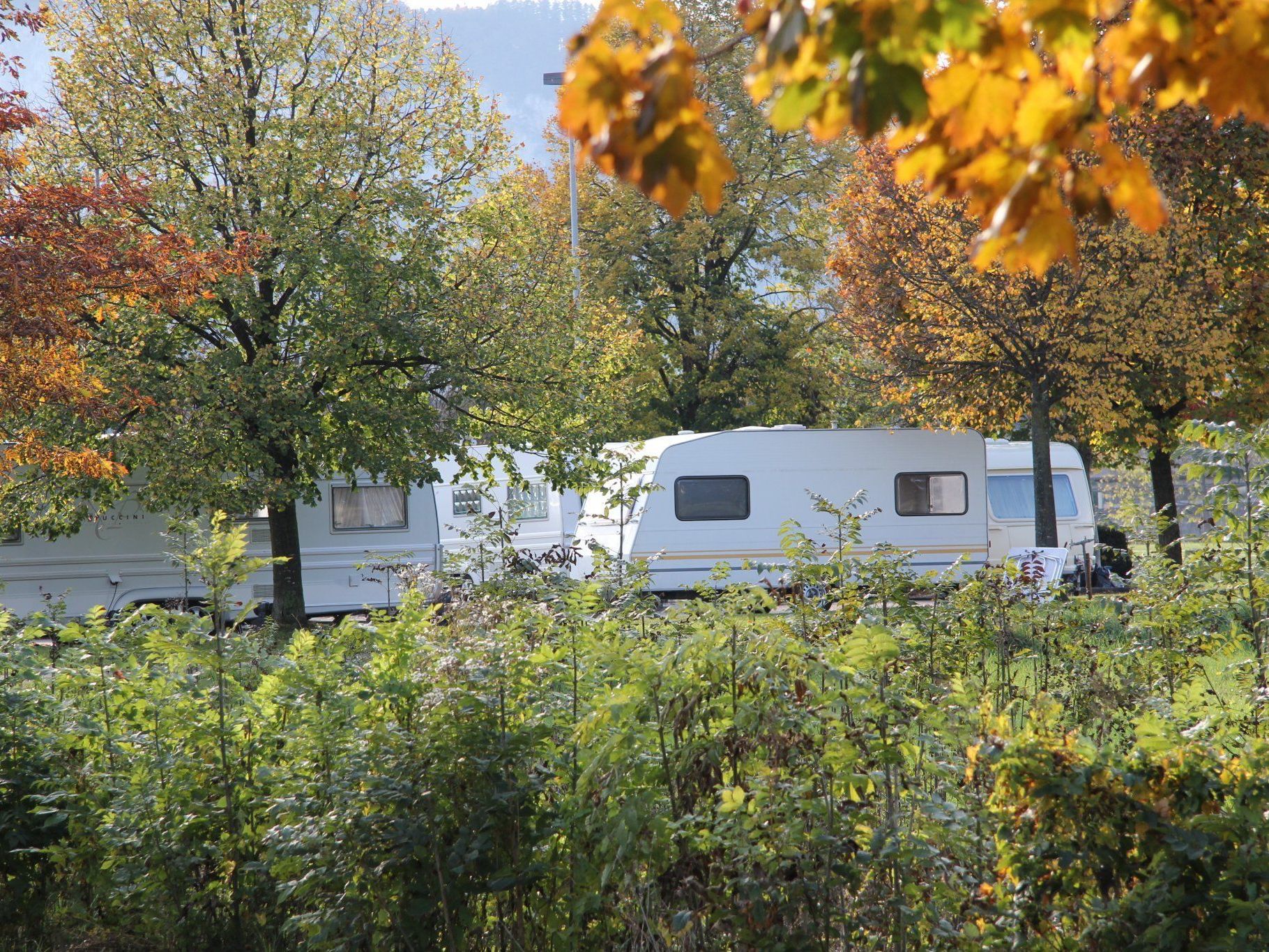 Die 50-köpfige Gruppe hat mit ihren 20 Wohnwagen derzeit ihr Lager in Götzis aufgeschlagen. Die 50-köpfige Gruppe hat mit ihren 20 Wohnwagen derzeit ihr Lager in Götzis aufgeschlagen.