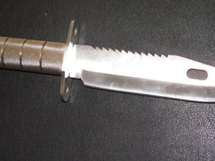 Mit diesem Messer soll der Mord in Wiener Neustadt verübt worden sein.