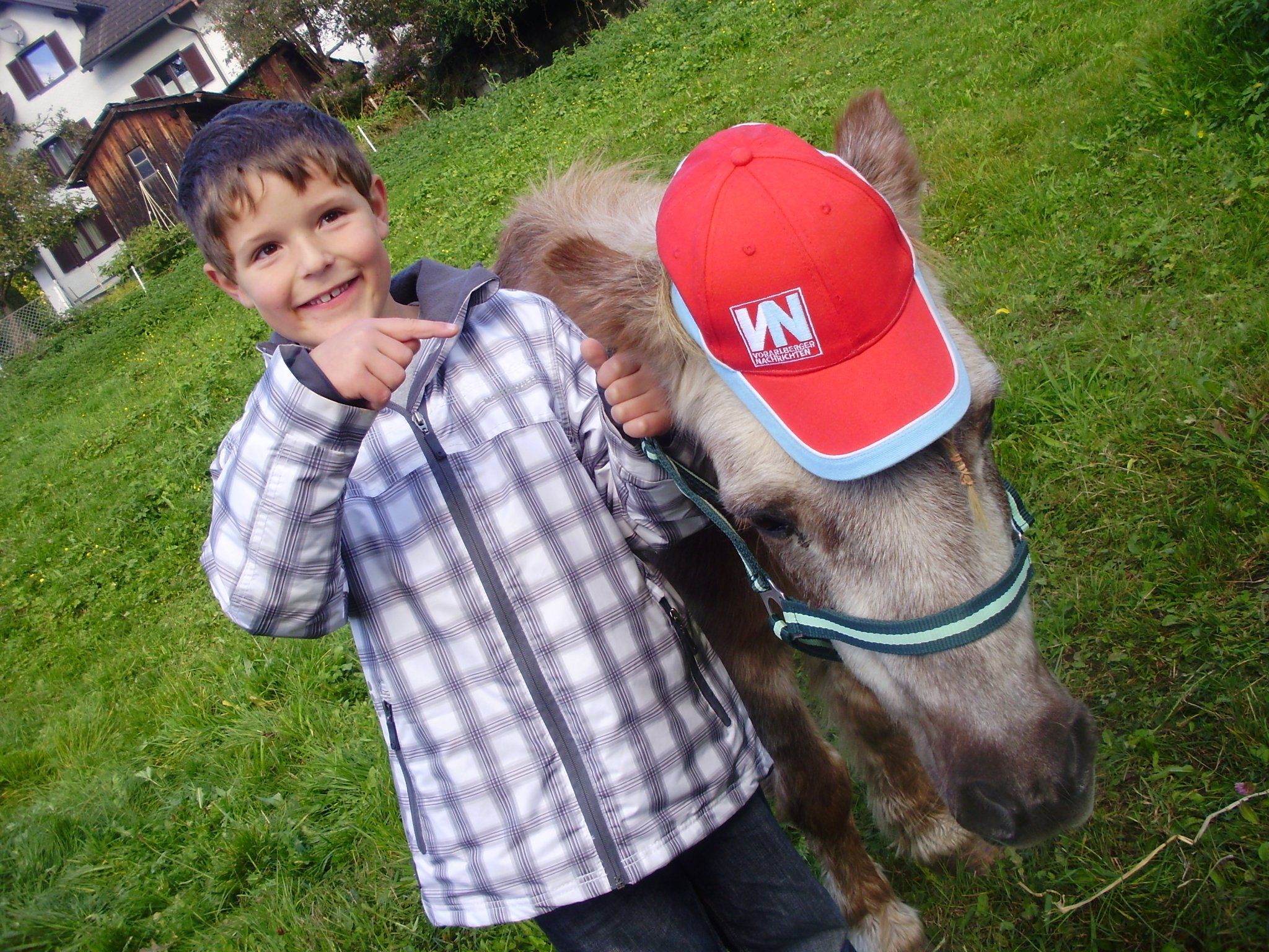 Julian zeigte sich von Pferd Nikki begeistert. Julian zeigte sich von Pferd Nikki begeistert.