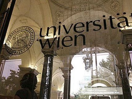 Die Uni Wien konnte sich im internationalen THES-Ranking in diesem Jahr verbessern Die Uni Wien konnte sich im internationalen THES-Ranking in diesem Jahr verbessern