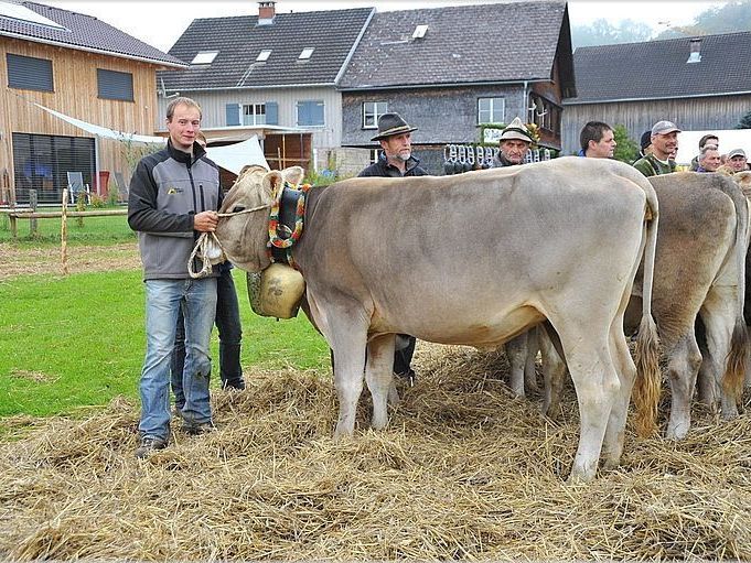 voller Stolz präsentieren die Landwirte ihre Tiere voller Stolz präsentieren die Landwirte ihre Tiere