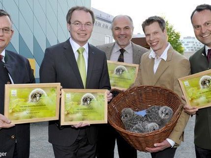 Die stolzen Paten mit ihren kleinen Käuzchen. Die stolzen Paten mit ihren kleinen Käuzchen.
