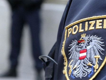 Die Polizei barg am Mittwochvormittag zwei Autos aus der Donau. Die Polizei barg am Mittwochvormittag zwei Autos aus der Donau.