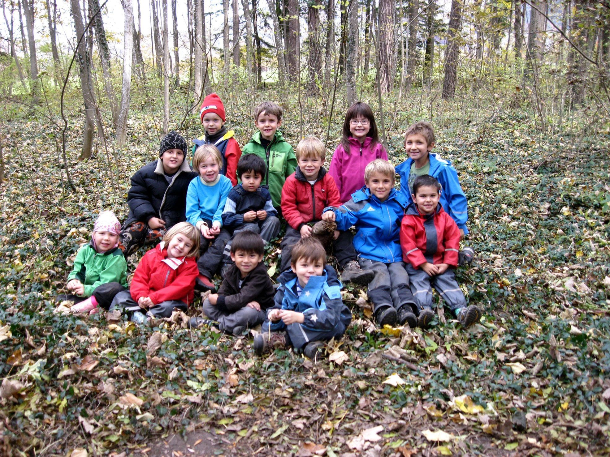 Die Waldameisen des Sulner Kindergartens Die Waldameisen des Sulner Kindergartens