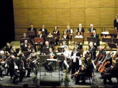 Orchester der Musikfreunde im Landestheater