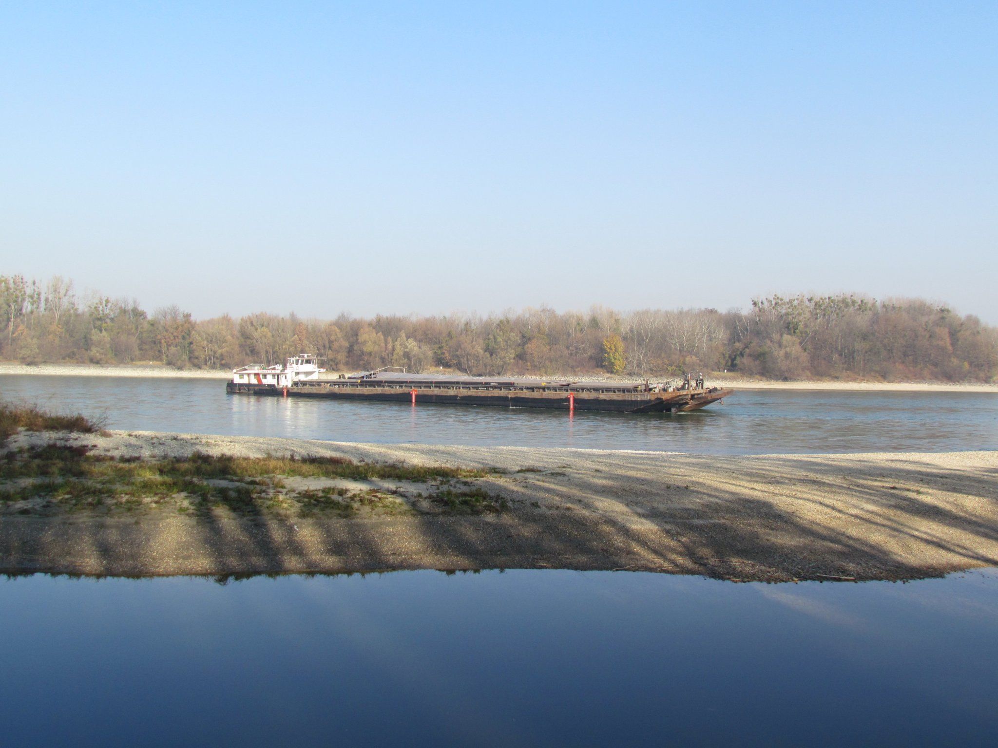 Nebel plus mangelnde Ortungsgeräte ist gleich Rezept für eine Katastrophe, sagt der WWF Nebel plus mangelnde Ortungsgeräte ist gleich Rezept für eine Katastrophe, sagt der WWF