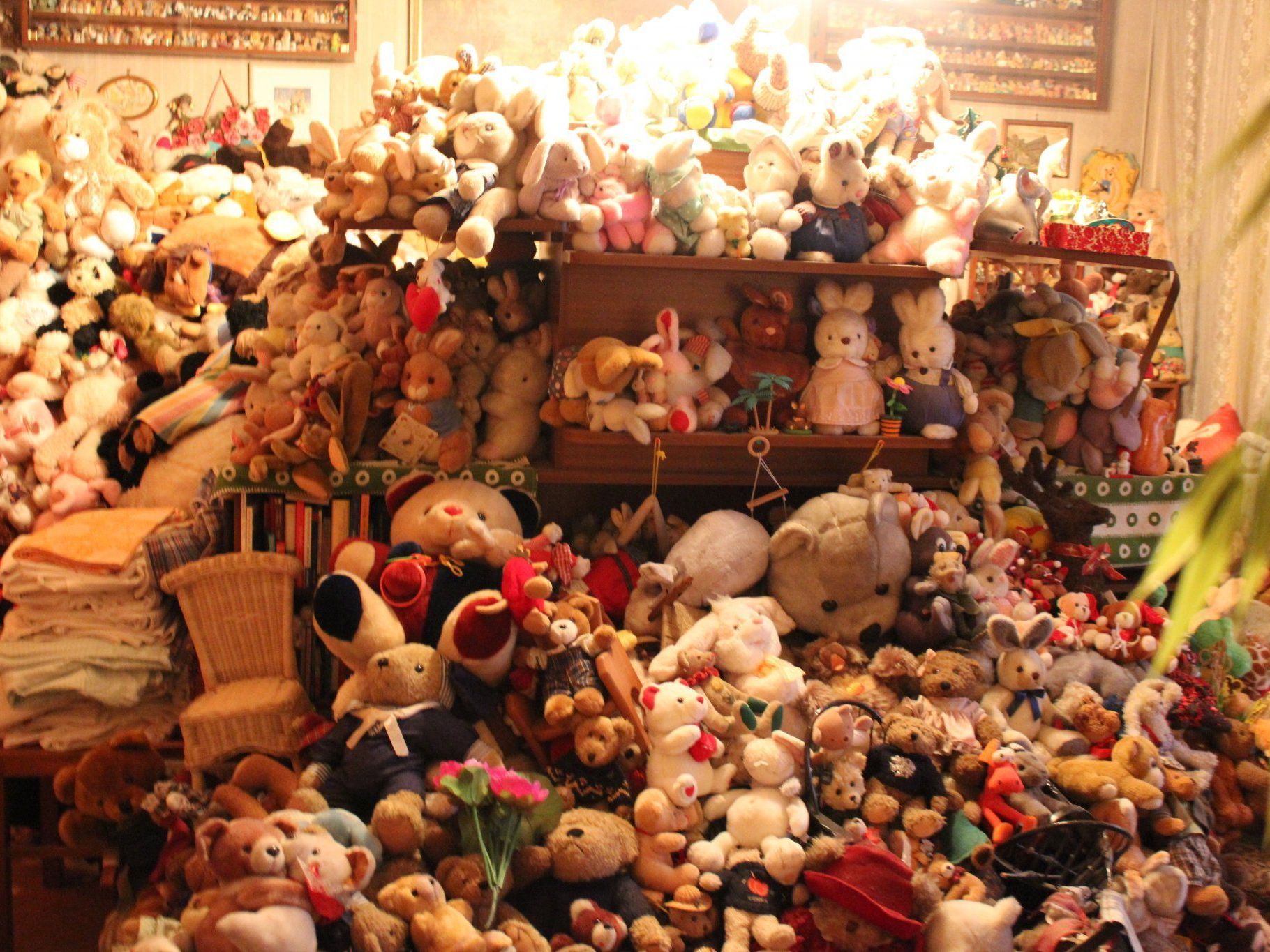 In einer Wohnung im 9. Bezirk wohnen 36.000 Stofftiere. In einer Wohnung im 9. Bezirk wohnen 36.000 Stofftiere.