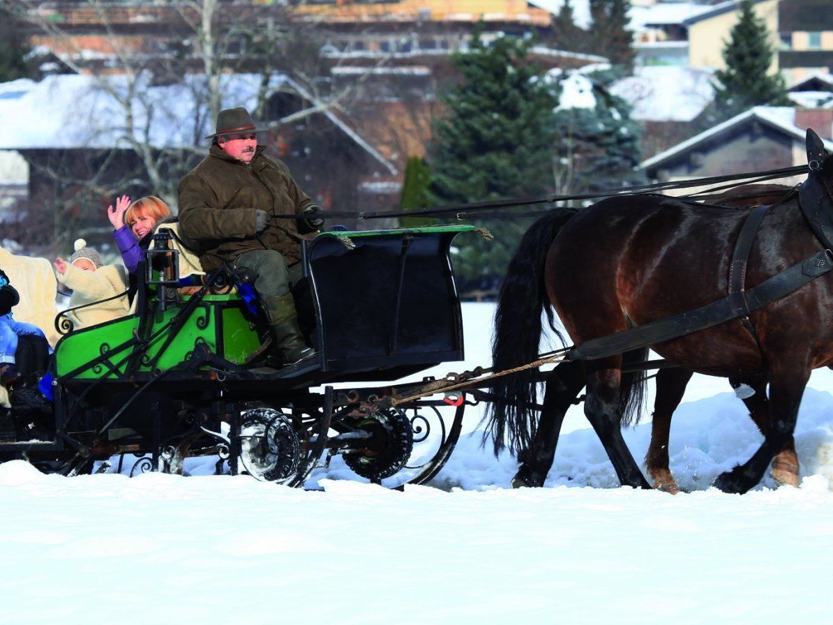 Kutschenfahrten in Schruns-Tschagguns Kutschenfahrten in Schruns-Tschagguns
