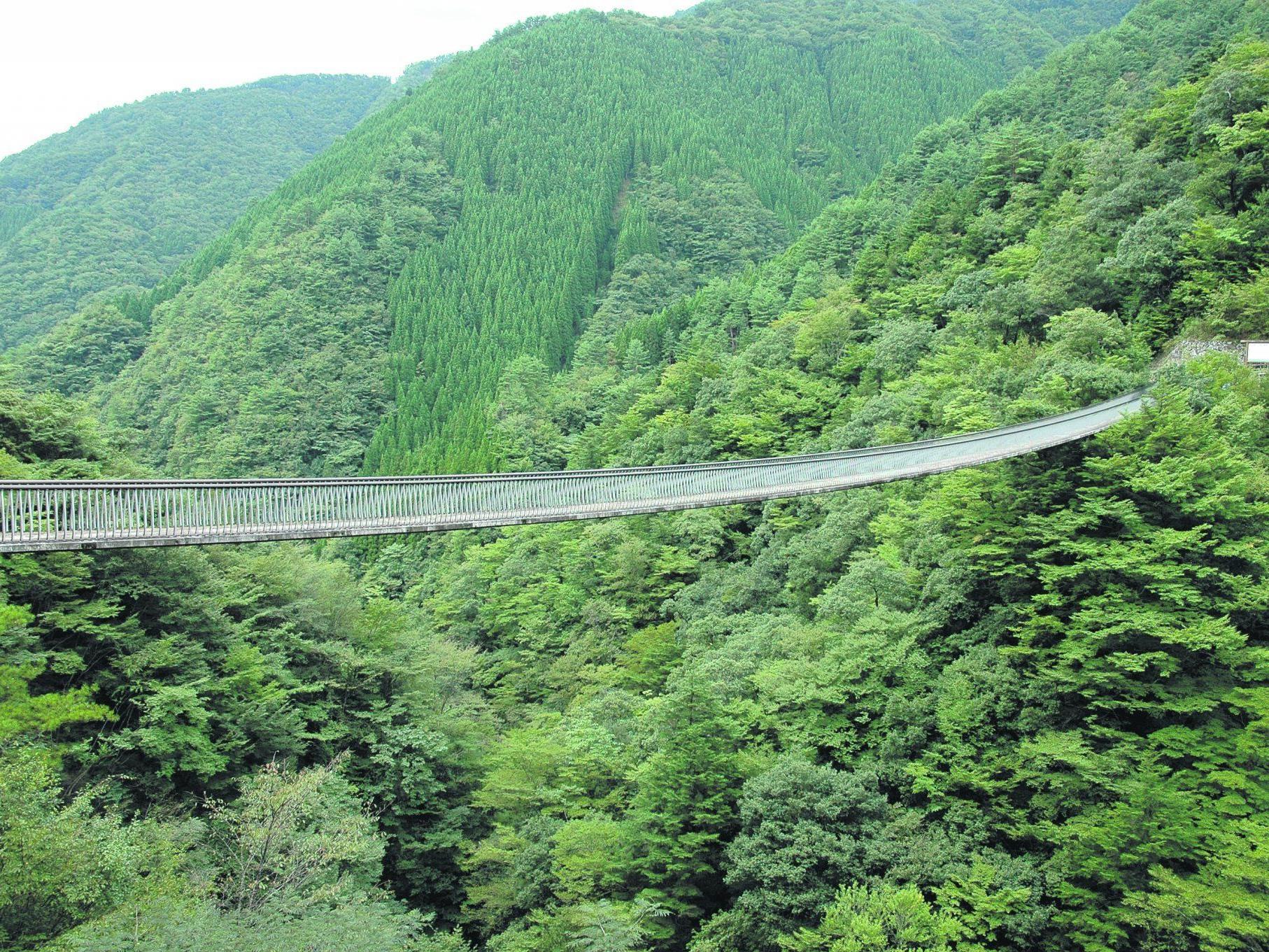 Einst waren Hängebrücken die einzigen Zugangswege zu den Gokanosho-Weilern