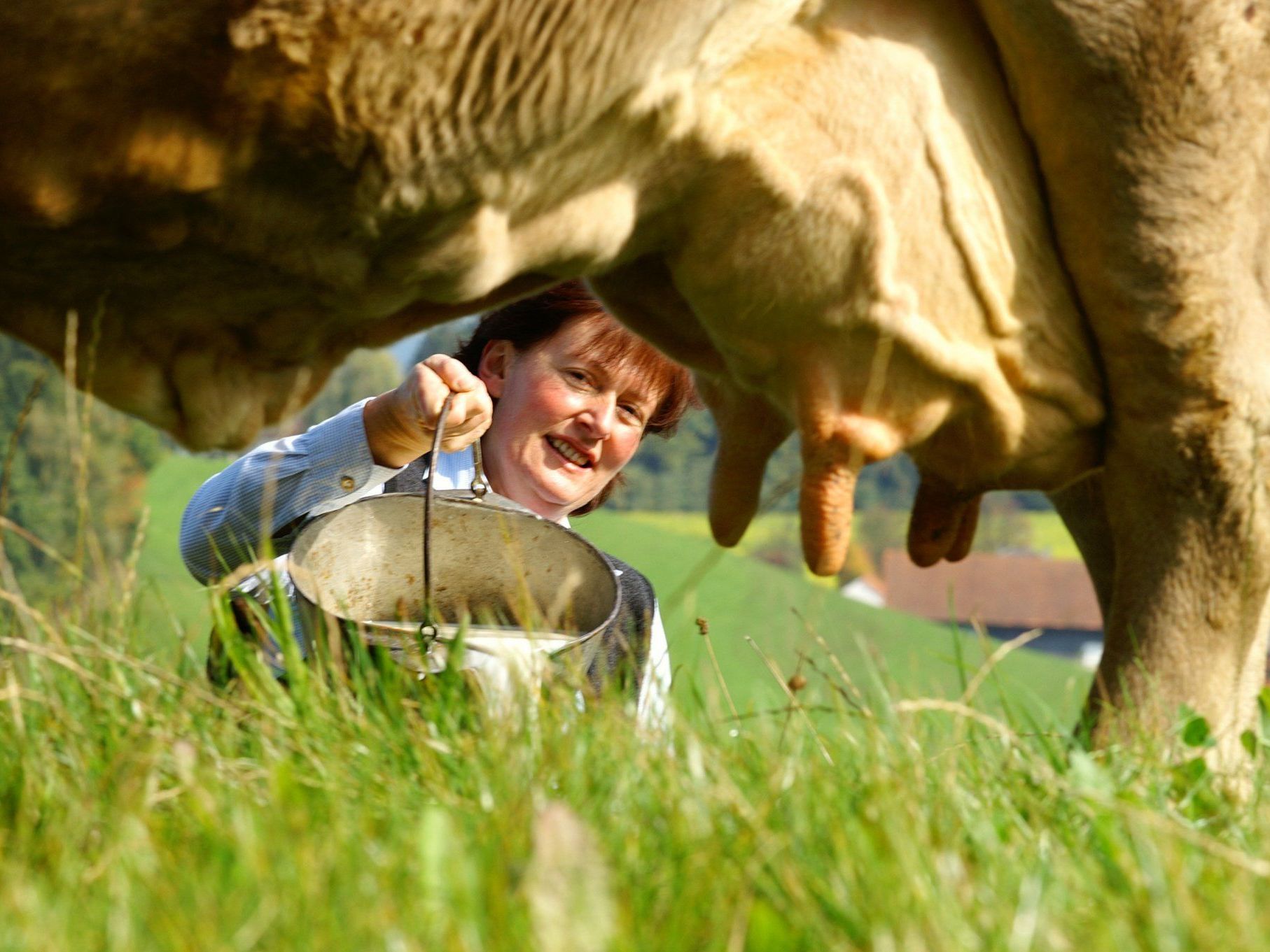 Land Vorarlberg unterstützt Milchhygiene-Maßnahmen mit einer Million Euro Land Vorarlberg unterstützt Milchhygiene-Maßnahmen mit einer Million Euro