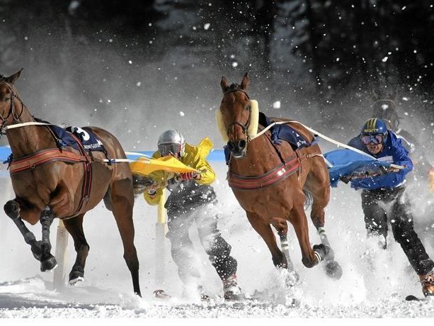 Im Jahr 1928 war Skijöring sogar olympischer Demonstrationswettbewerb in St. Moritz.