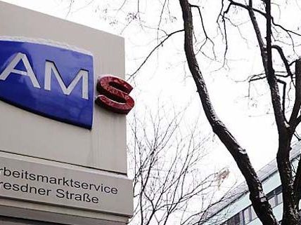 In Wien stieg die Arbeitslosigkeit um 6,5 Prozent. In Wien stieg die Arbeitslosigkeit um 6,5 Prozent.