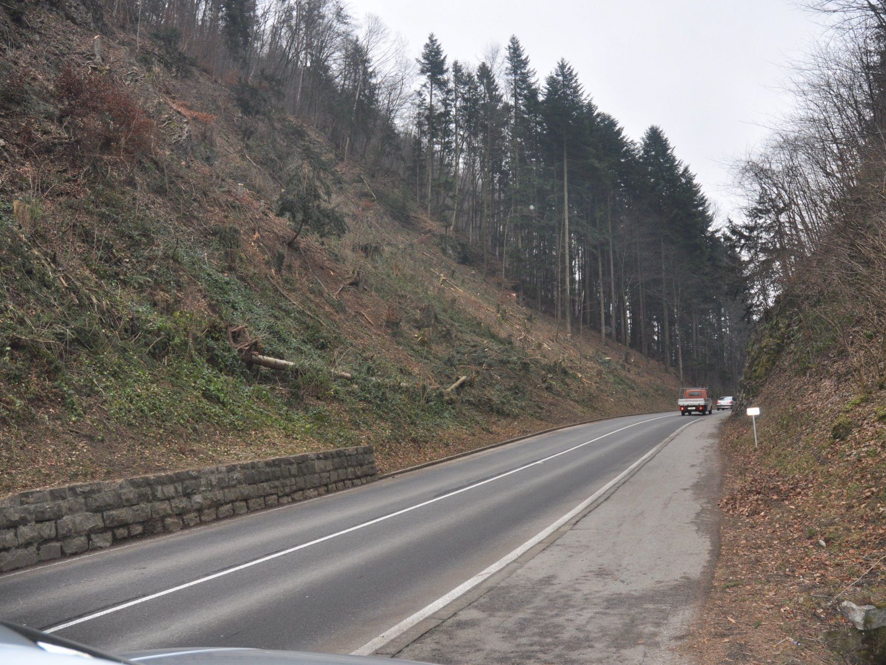 Die Rodungen im Klauser Wald sind abgeschlossen Die Rodungen im Klauser Wald sind abgeschlossen