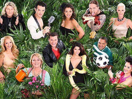 Diese Stars gehen ins Dschungelcamp - oben, v.li.: Vincent Raven, Daniel Lopes, Jazzy, Martin Kesici , Brigitte Nielsen, Radost Bokel, Ramona Leiß, Rocco Stark, Micaela Schäfer, Ailton und Kim Debkowski Diese Stars gehen ins Dschungelcamp - oben, v.li.: Vincent Raven, Daniel Lopes, Jazzy, Martin Kesici , Brigitte Nielsen, Radost Bokel, Ramona Leiß, Rocco Stark, Micaela Schäfer, Ailton und Kim Debkowski